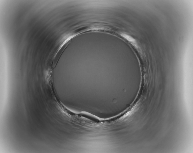 X0000087061369200705021208