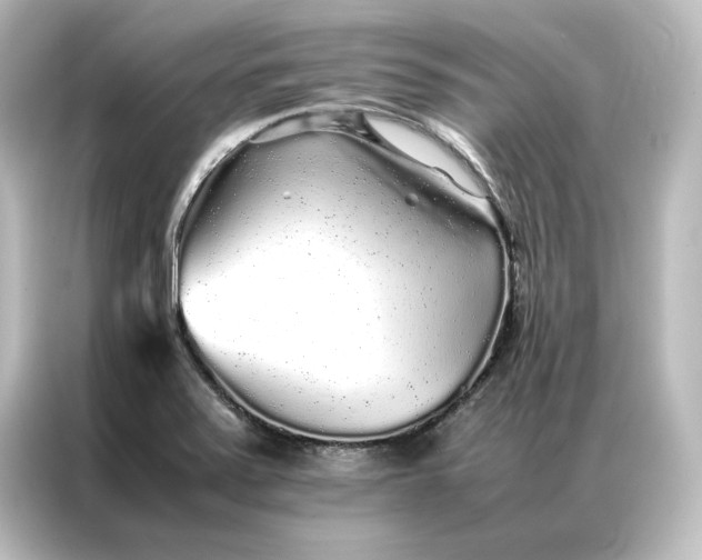 X0000087061371200705021208