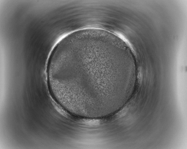 X0000087061372200705021208