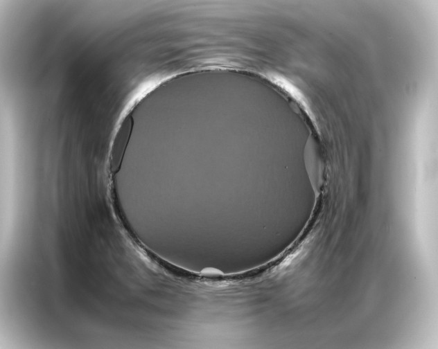 X0000087061373200705021208