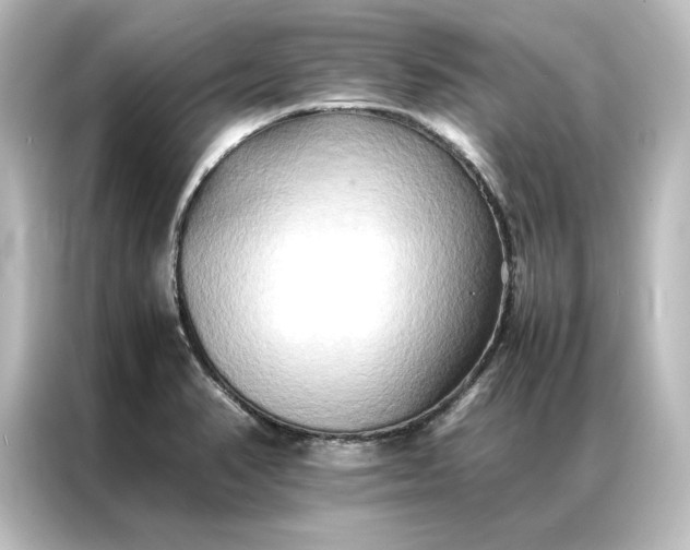 X0000087061374200705021208