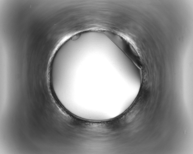 X0000087061375200705021208