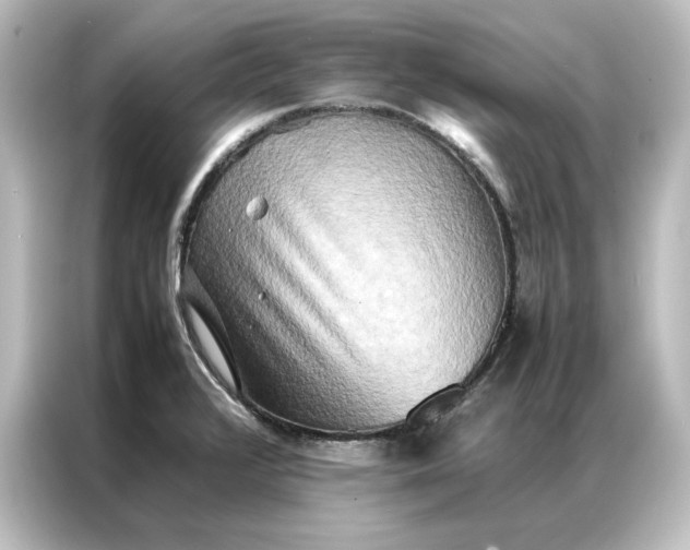 X0000087061376200705021208