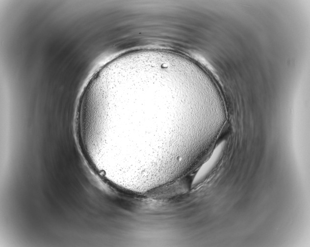 X0000087061379200705021208