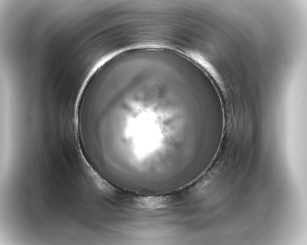 X0000087061380200705021208