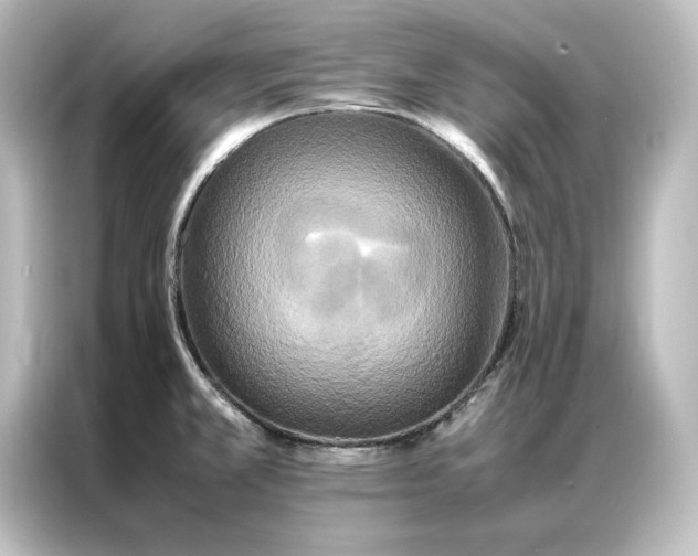 X0000087061381200705021208