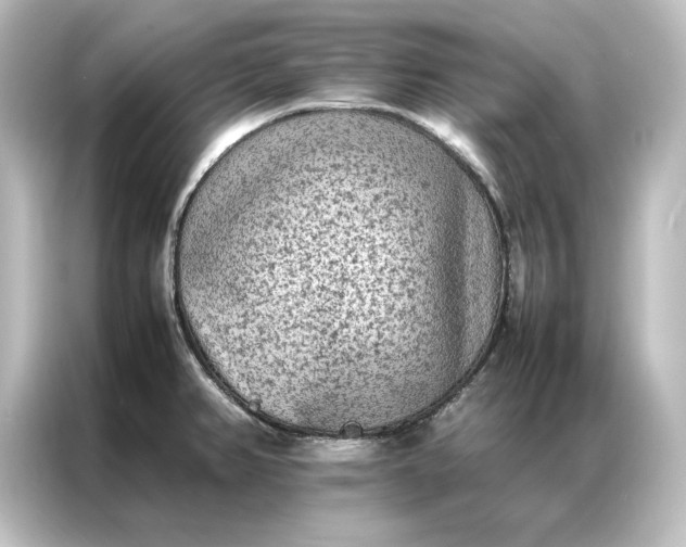 X0000087061382200705021208