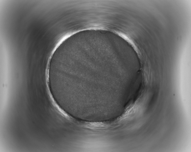 X0000087061383200705021208