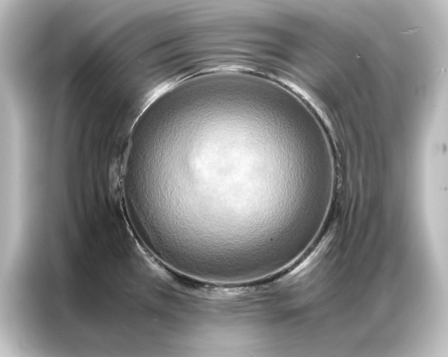 X0000087061385200705021208