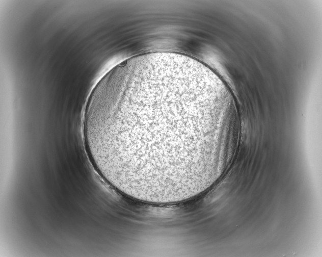 X0000087061386200705021208