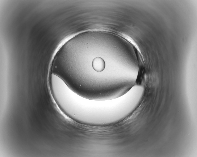 X0000087061387200705021208