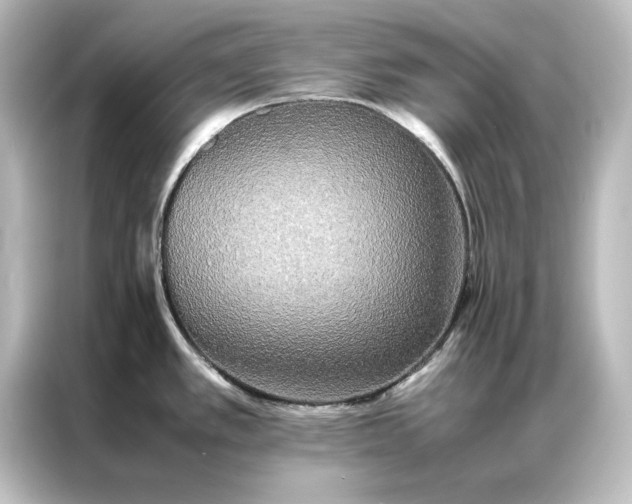 X0000087061389200705021208