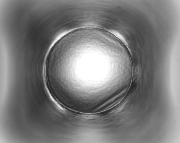 X0000087061391200705021208