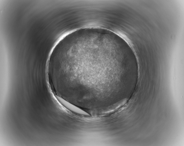 X0000087061392200705021208