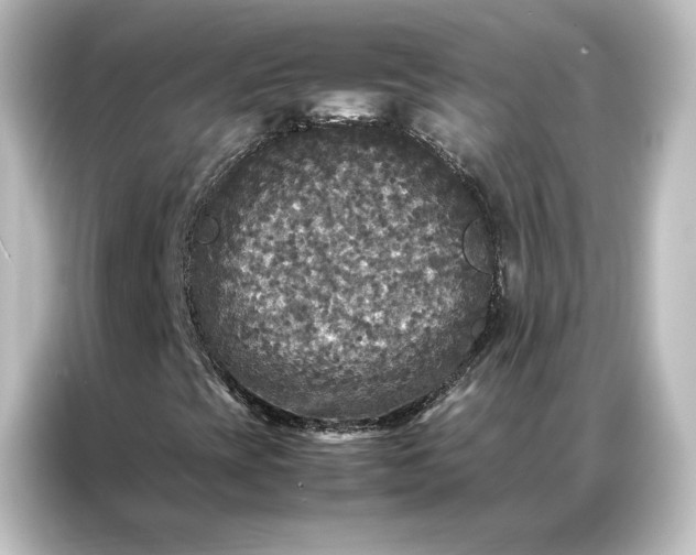 X0000087061393200705021207