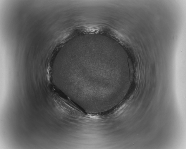 X0000087061394200705021207