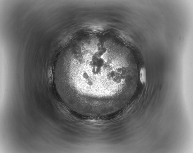 X0000087061395200705021207