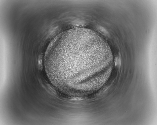 X0000087061396200705021207