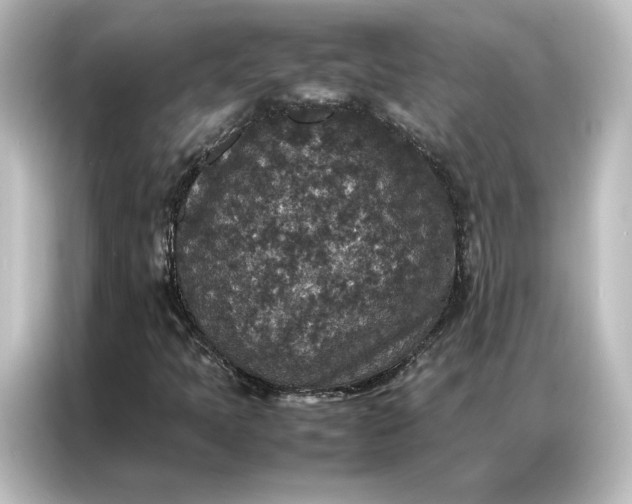 X0000087061397200705021207