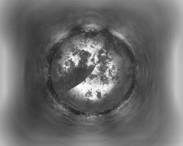 X0000087061399200705021207