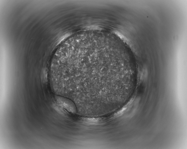 X0000087061401200705021207