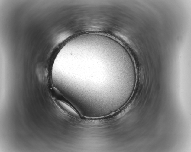 X0000087061402200705021207