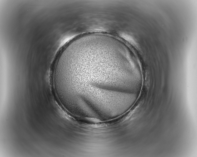 X0000087061404200705021207