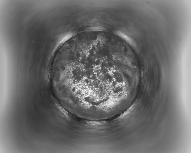 X0000087061405200705021207