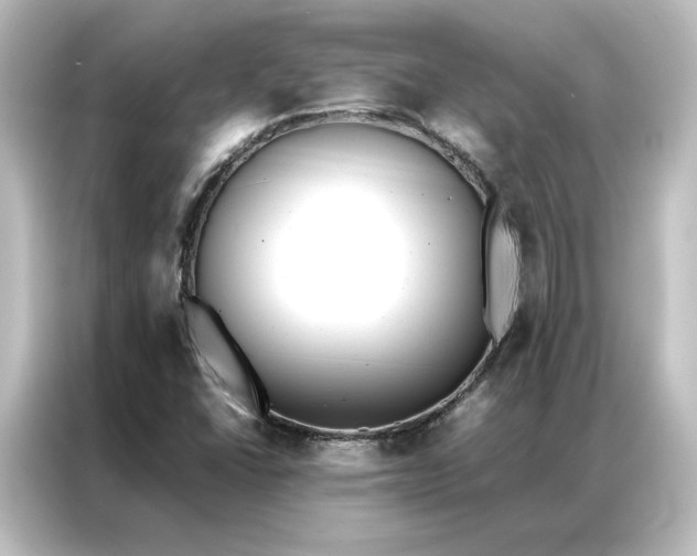 X0000087061406200705021207