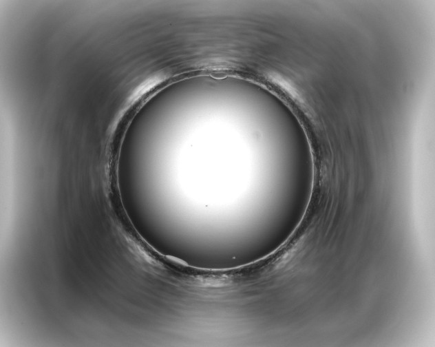 X0000087061410200705021207