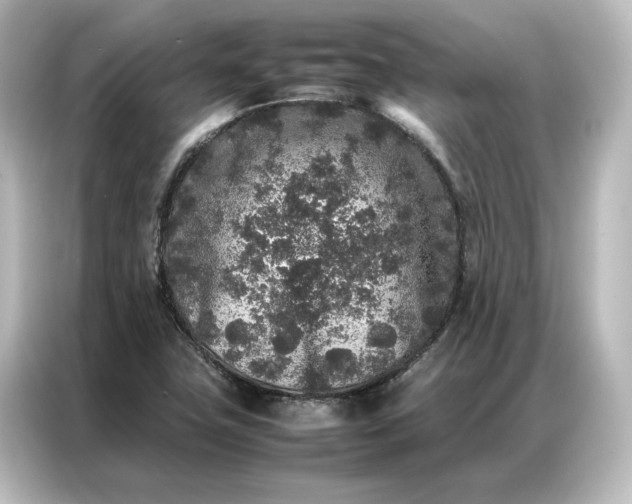 X0000087061411200705021207