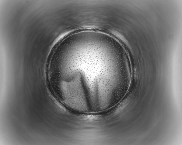 X0000087061412200705021207