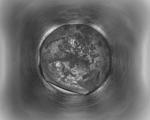 X0000087061413200705021207