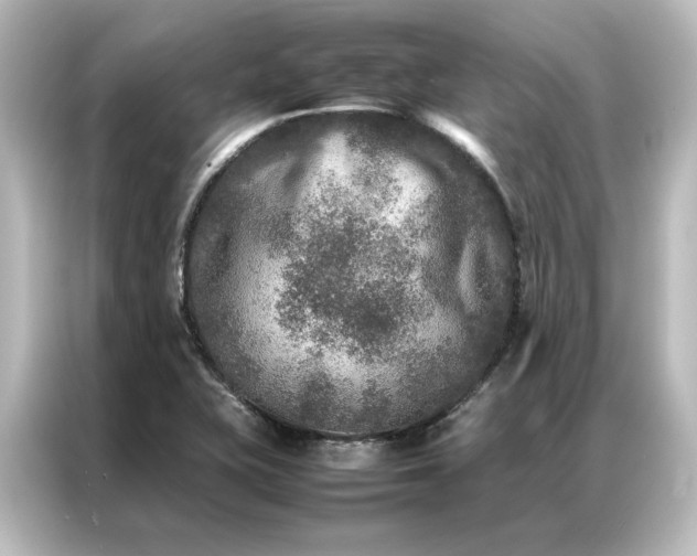 X0000087061415200705021207