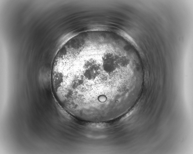 X0000087061417200705021207