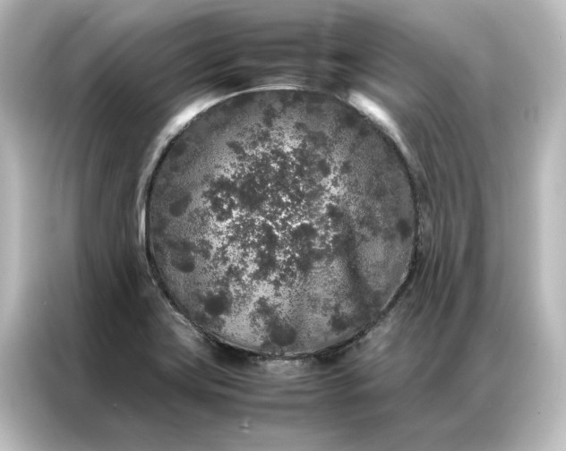 X0000087061419200705021207