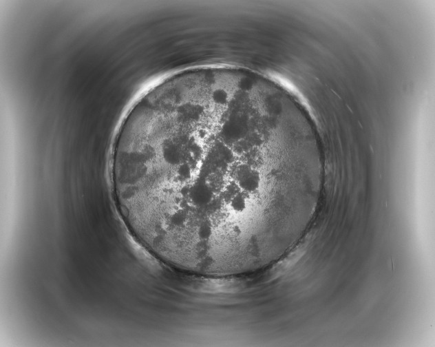 X0000087061421200705021207