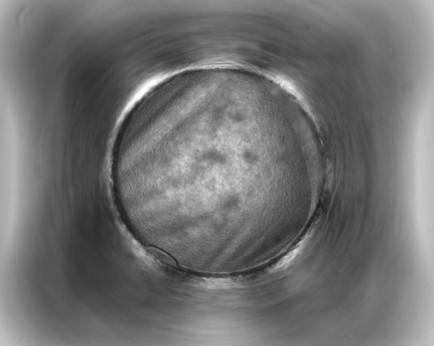 X0000087061422200705021207