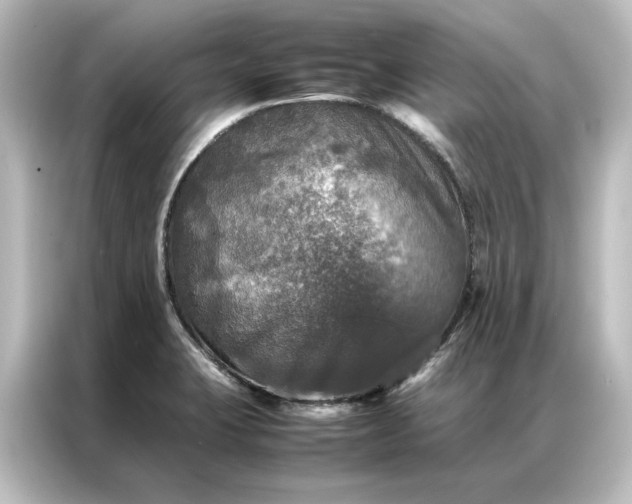 X0000087061423200705021207