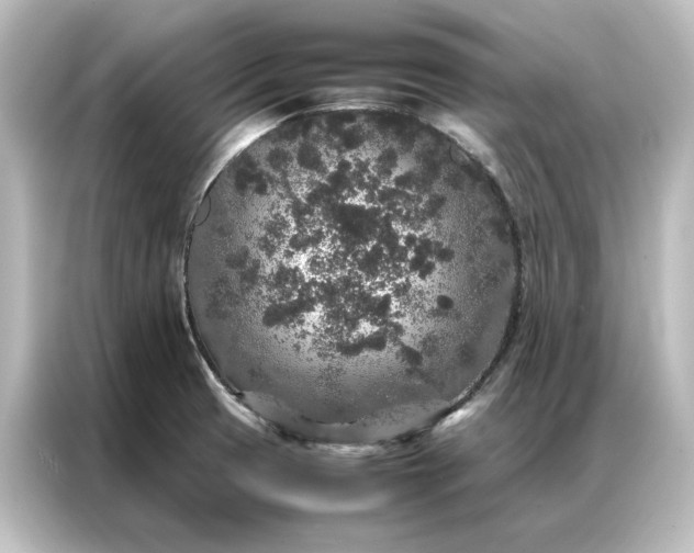 X0000087061425200705021207