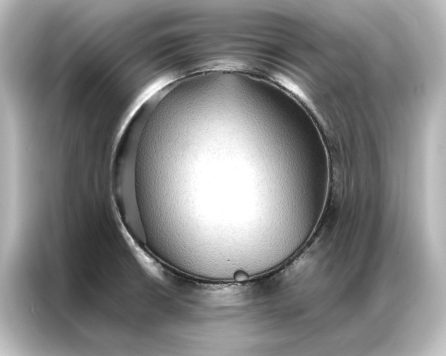 X0000087061426200705021208