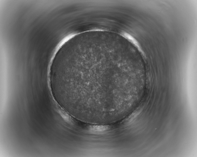 X0000087061427200705021208