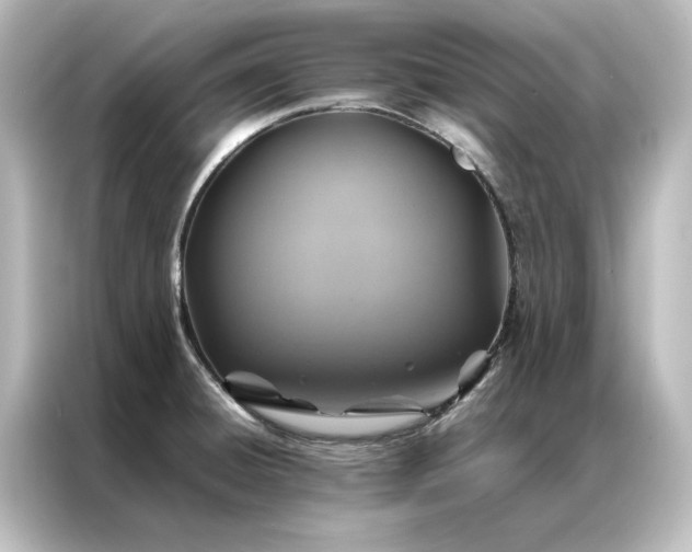 X0000087061428200705021208