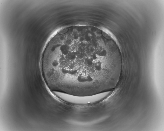 X0000087061429200705021208