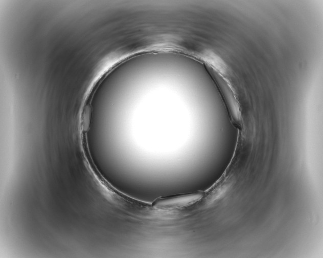 X0000087061430200705021208