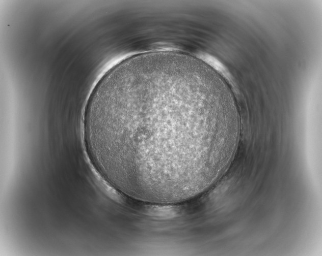 X0000087061431200705021208