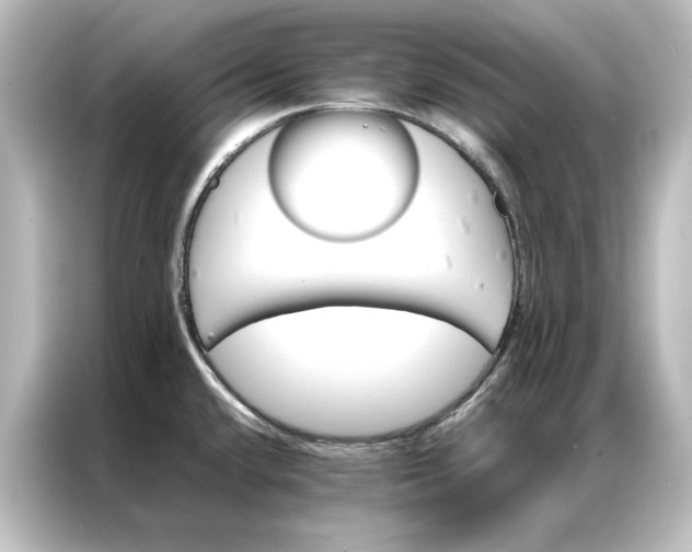 X0000087061432200705021208