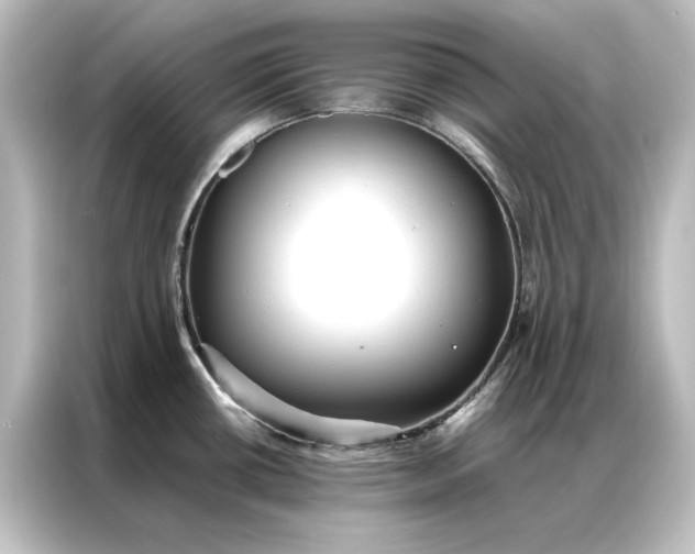 X0000087061434200705021208