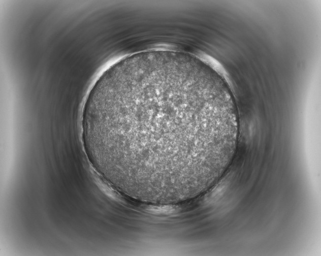 X0000087061435200705021208