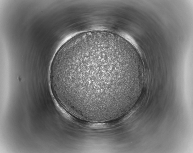 X0000087061439200705021208